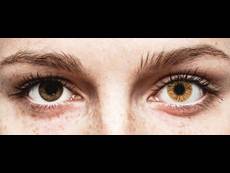 FreshLook Colors Hazel - dioptrické (2 čočky)