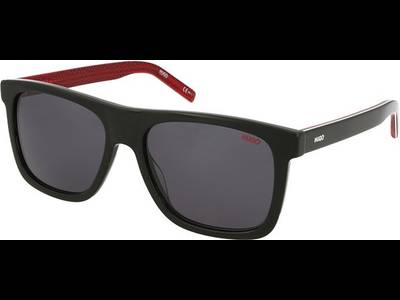 Hugo Boss HG 1009/S OIT/IR