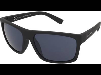 Blizzard PCSC603 111