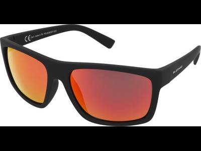 Blizzard POLSC603 011