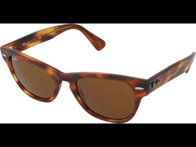 Ray-Ban Laramie RB2201 954/33 