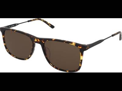 Calvin Klein CK20711S 239