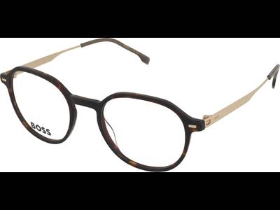 Hugo Boss Boss 1697 2IK 