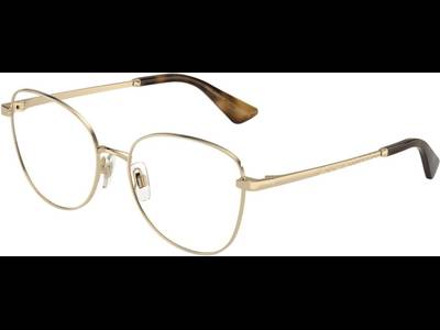 Dolce & Gabbana DG1355 1365