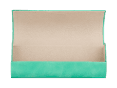 Pouzdro na brýle Alensa TL003 - menthol 