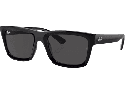 Ray-Ban Warren RB4396 667787