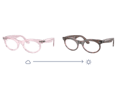 Ray-Ban Wayfarer Oval RX2242V 8292 