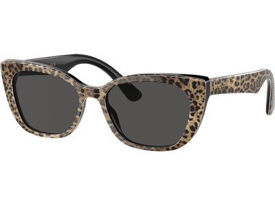 Dolce & Gabbana Kids DX4427 316387