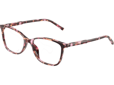 Dolce & Gabbana DG3424 3444